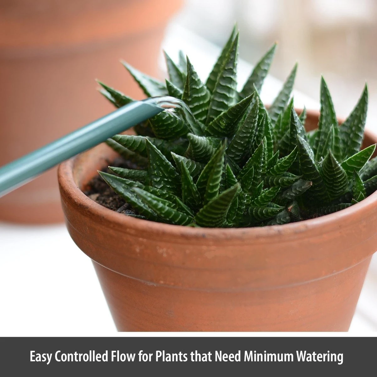 CKB LTD - Gieters - Gieter - Retro - Gietertje - Kleine Gieter Voor Binnen En Buiten - 1 Liter - Groen Plantengieter Tuingieter Bloemengieter Mini Klein Metaal Binnenplantjes Gietertjes Tuingieters Vintage Kamerplanten Buitengieter Binnenshuis - Afbeelding 2