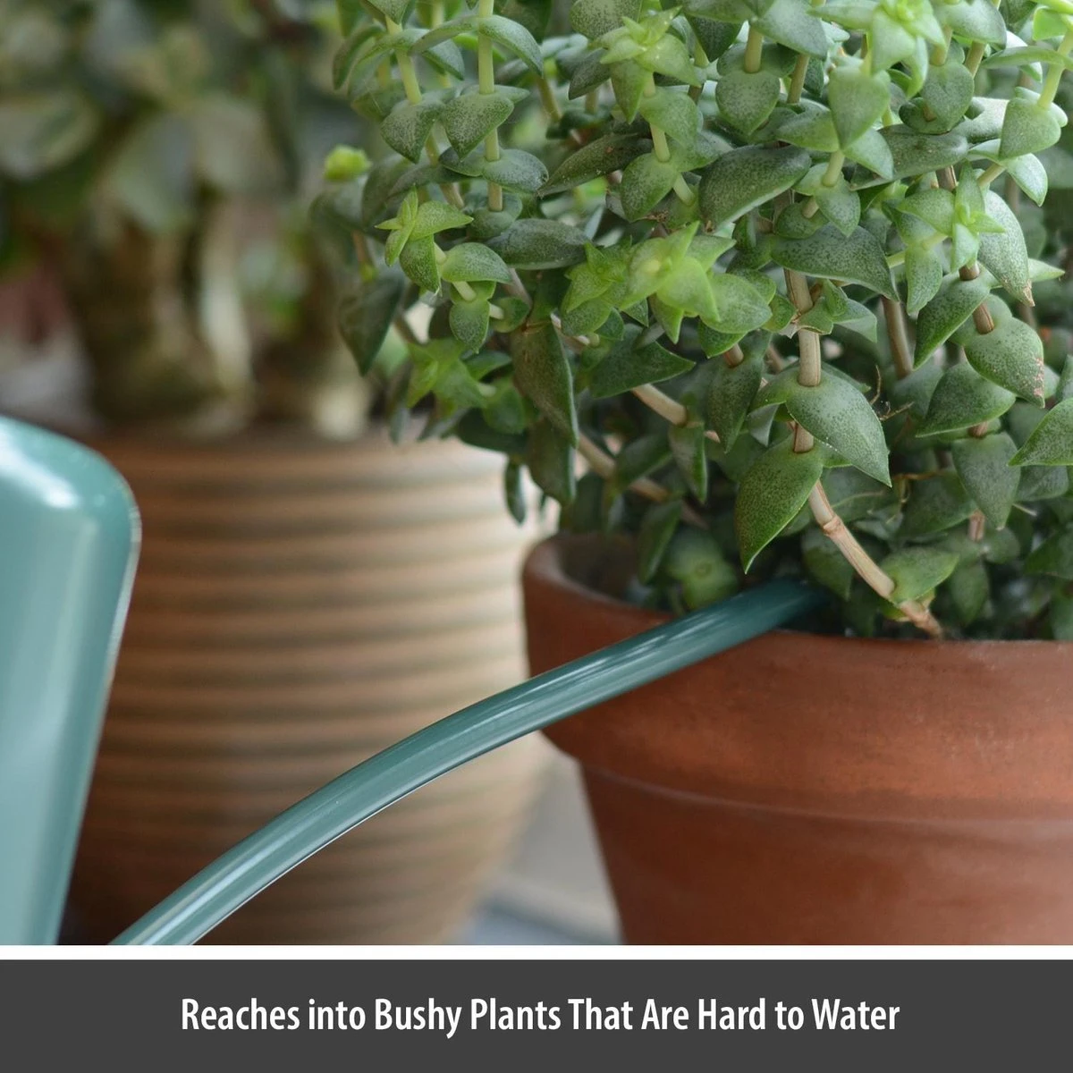 CKB LTD - Gieters - Gieter - Retro - Gietertje - Kleine Gieter Voor Binnen En Buiten - 1 Liter - Groen Plantengieter Tuingieter Bloemengieter Mini Klein Metaal Binnenplantjes Gietertjes Tuingieters Vintage Kamerplanten Buitengieter Binnenshuis - Afbeelding 6