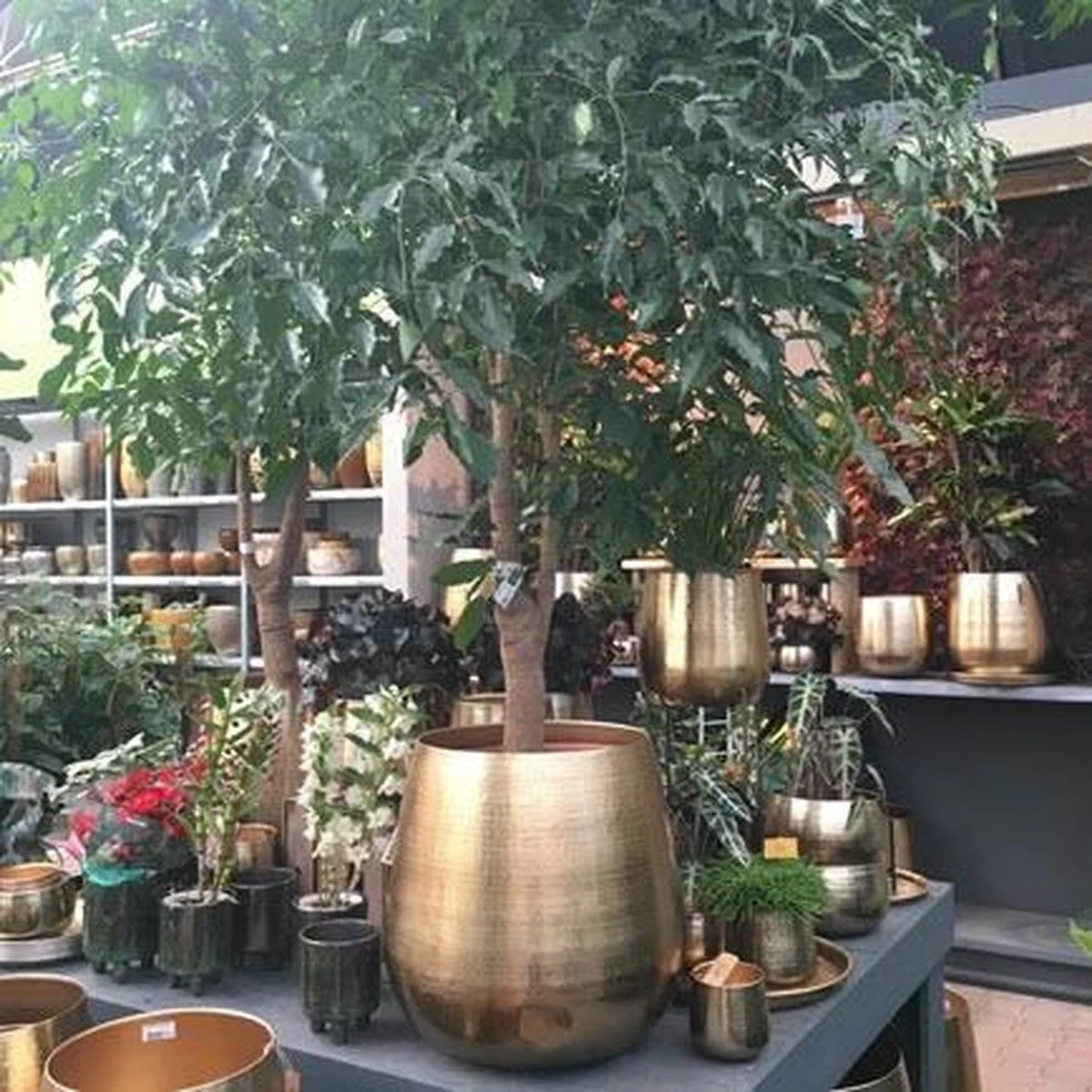 Gina Da Bloempot Karakter Goud - XL - Afbeelding 5