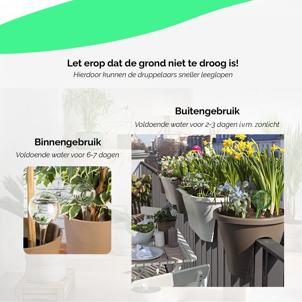 HGMD Waterdruppelaar Set Van 8 Stuks Voor Planten Transparant - Blauw - Waterdruppelaar Voor Kamerplanten – Waterbol - Waterdruppelaar Voor Planten - Watergeefsysteem - Afbeelding 5