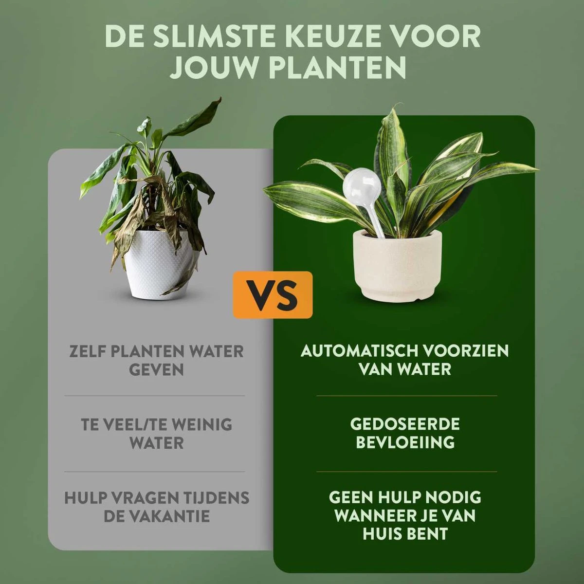STFF & Co® Waterdruppelaar Voor Planten – Irrigatiesysteem Automatisch Watergeefsysteem – Waterbollen Voor Planten – Bewateringssysteem – 8 Stuks - 8cm - Afbeelding 3